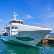 a large boat is docked at a dock