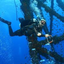 a person in a diving suit is in the water