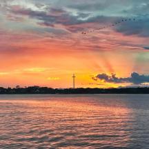 a sunset over a body of water with a flock of birds