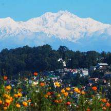 a city with flowers and mountains in the background