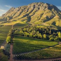 an aerial view of a mountain with green fields and trees
