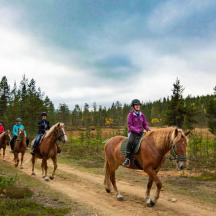 a group of people riding horses down a dirt road
