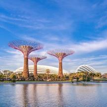 a group of trees in the middle of a body of water