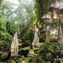 a garden with a pond and trees and plants