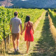 a man and a woman walking through a field of grapes