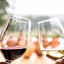 zwei Gläser Rot- und Weißwein