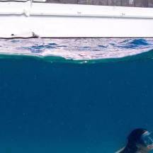 a whale swimming in the water next to a boat