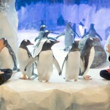 two children are looking at penguins in an exhibit