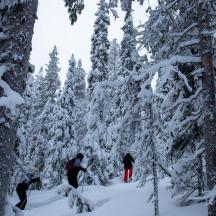 eine Gruppe von Menschen fährt Ski durch einen schneebedeckten Wald