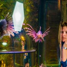 eine Frau steht neben einer Glasschüssel mit Fisch