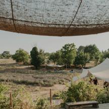 a group of people under a tent in a field