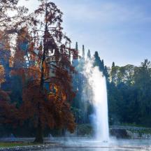 una font al mig d'un llac amb arbres