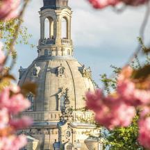 a tall tower with pink flowers in the foreground