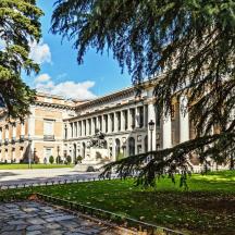 a large building with a tree in front of it