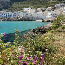 Blick auf einen Strand mit weißen Gebäuden und Blumen