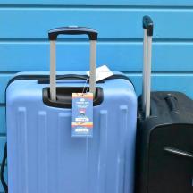 due bagagli appoggiati accanto a un muro blu