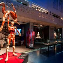 two mannequins in a display case in a museum