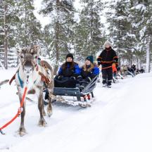 a group of people riding in a horse drawn sleigh