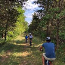 eine Gruppe von Menschen, die mit dem Fahrrad einen Weg entlangfahren