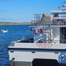 a white boat sitting in the water