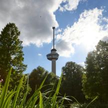 Blick auf einen Turm mit Bäumen im Vordergrund