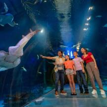 a group of people standing in front of an aquarium