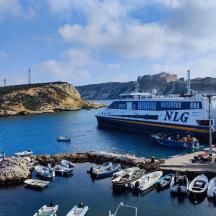 un gran vaixell està atracat en un port amb vaixells