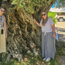 two women standing in front of a tree
