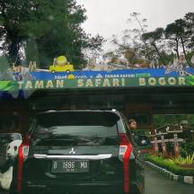 en bil parkeret foran en Tarzan safariboks