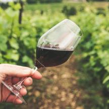 eine Person, die ein Glas Rotwein hält