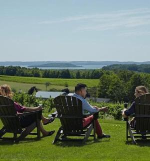 a group of people sitting in chairs on the grass