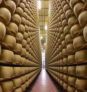 a row of barrels in a wine cellar