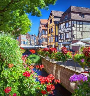 un mazzo di fiori in una città con edifici