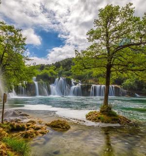 河流前有一棵树的瀑布