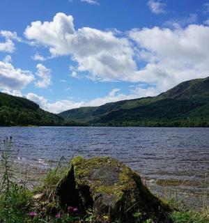 湖岸边的一块大石头