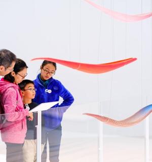 一群人正在观看鱼的展示