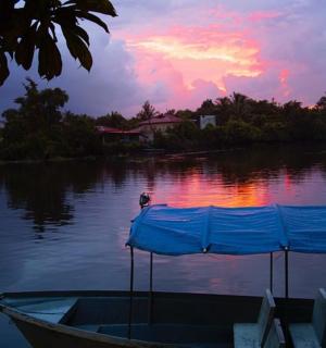 水面上的船,船顶上有一只鸟