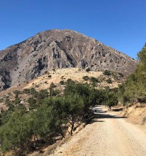 一条土路，背景是一座山