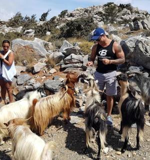 two people and a group of goats on a mountain
