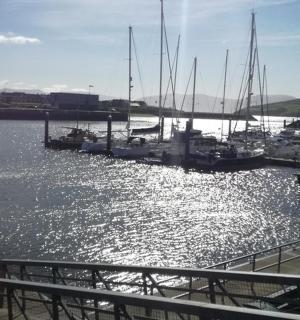 一群停靠在港口的船只