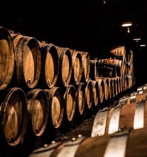 a row of wine barrels in a cellar