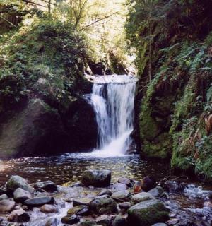 河流中间有岩石的瀑布