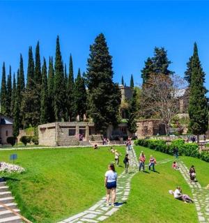 a group of people sitting on the grass in a park