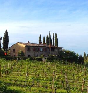 una casa en una colina con un montón de árboles