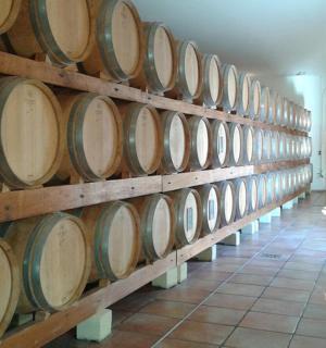 a row of wine barrels in a room
