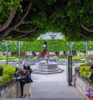 一群人在公园散步