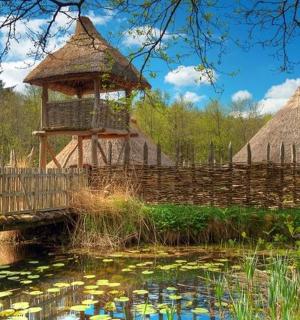 dřevěný most přes rybník s ptačí budkou