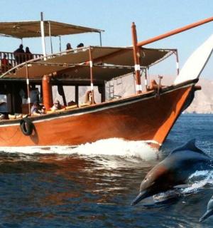 船旁水中的两只海豚