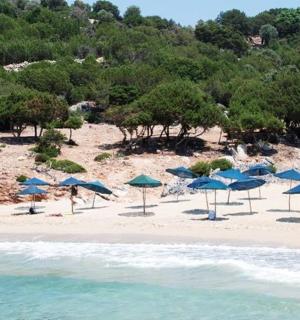 a beach with many blue umbrellas and the water