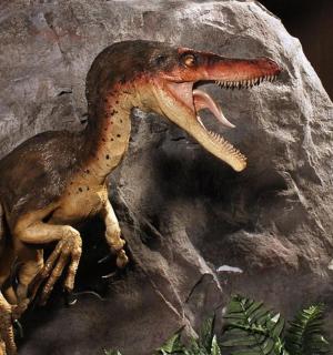 Hračka dinosaura sedí na skále